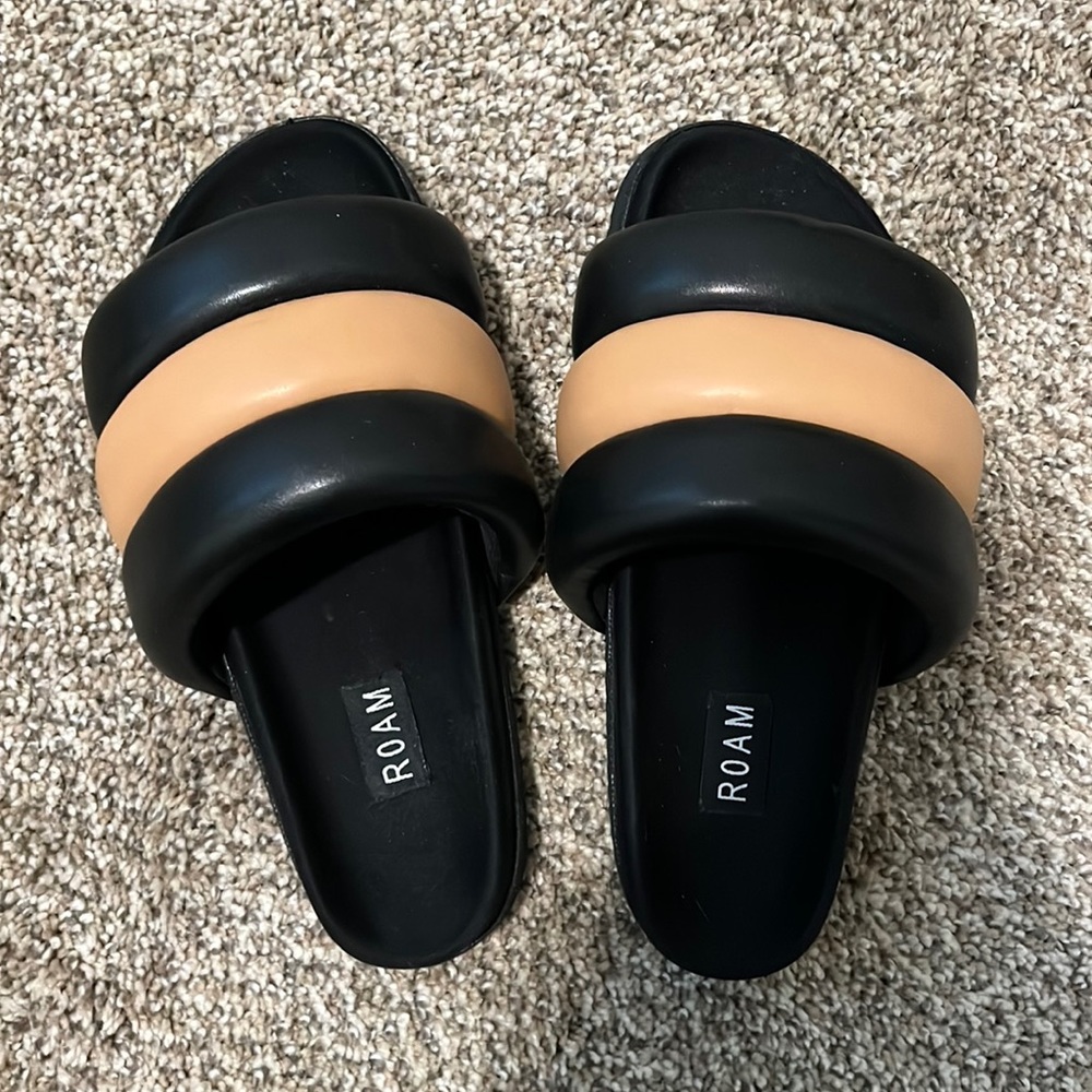 Roam slides